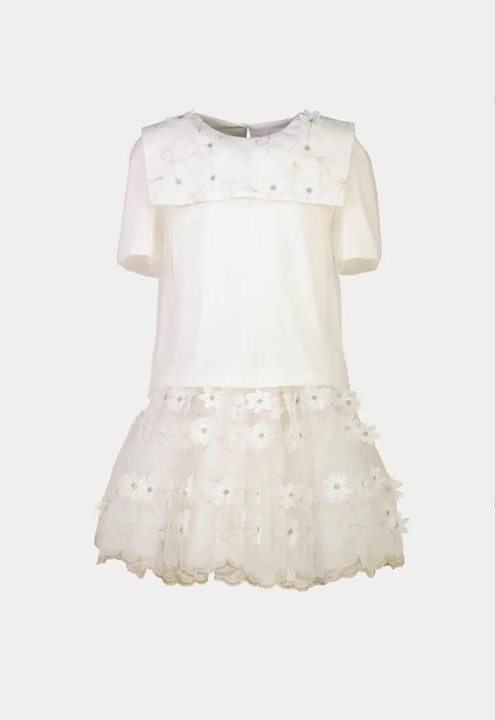 Embroidered Square Collar Sheer Blouse And Skirts Set